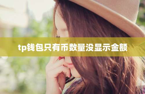 tp钱包只有币数量没显示金额