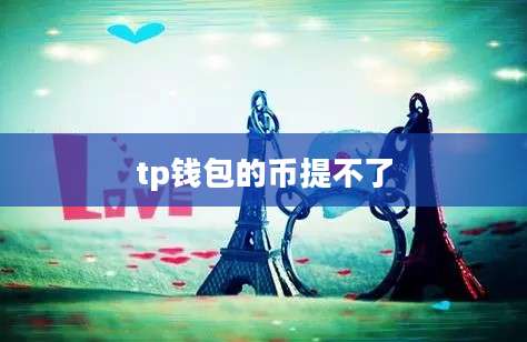 tp钱包的币提不了