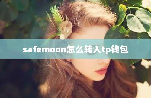 safemoon怎么转入tp钱包