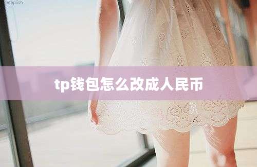 tp钱包怎么改成人民币