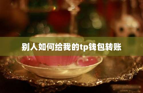 别人如何给我的tp钱包转账