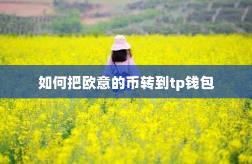 如何把欧意的币转到tp钱包