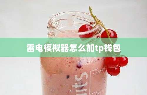 雷电模拟器怎么加tp钱包