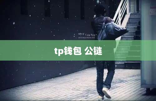 tp钱包 公链