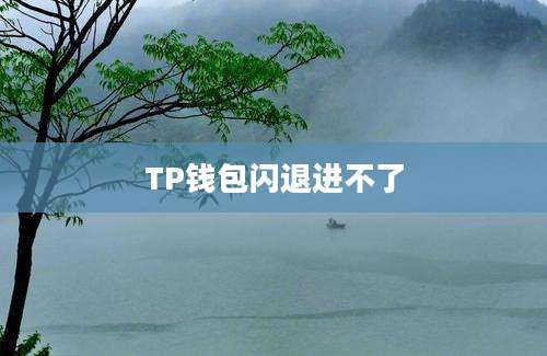 TP钱包闪退进不了