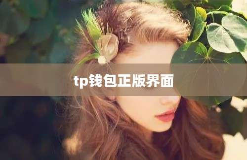 tp钱包正版界面
