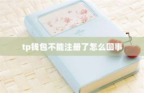 tp钱包不能注册了怎么回事