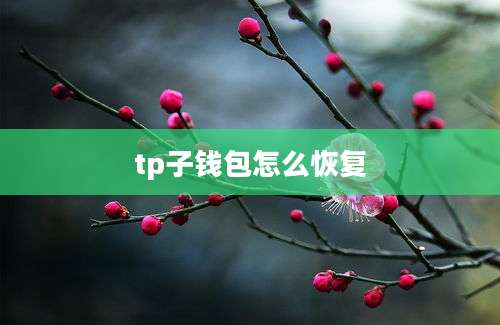 tp子钱包怎么恢复