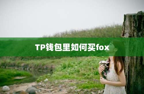 TP钱包里如何买fox