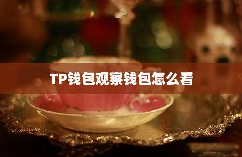 TP钱包观察钱包怎么看