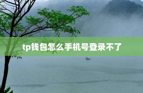 tp钱包怎么手机号登录不了