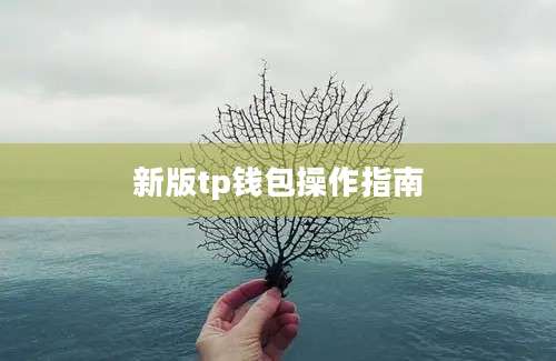 新版tp钱包操作指南