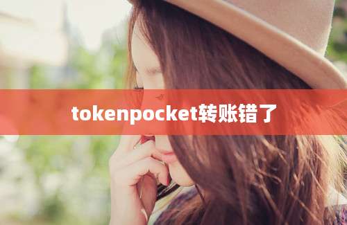 tokenpocket转账错了