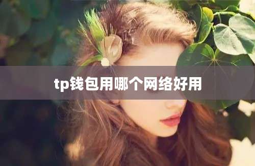 tp钱包用哪个网络好用
