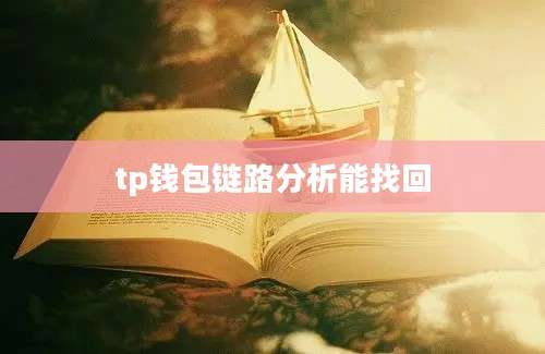 tp钱包链路分析能找回