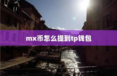 mx币怎么提到tp钱包