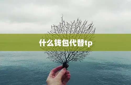 什么钱包代替tp