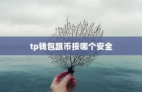 tp钱包跟币按哪个安全