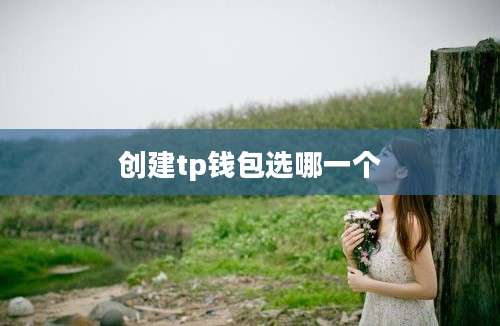 创建tp钱包选哪一个