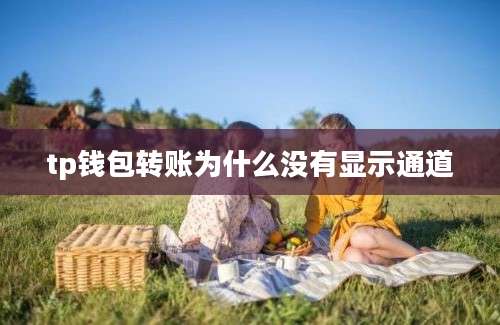 tp钱包转账为什么没有显示通道