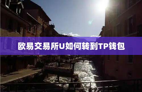欧易交易所U如何转到TP钱包