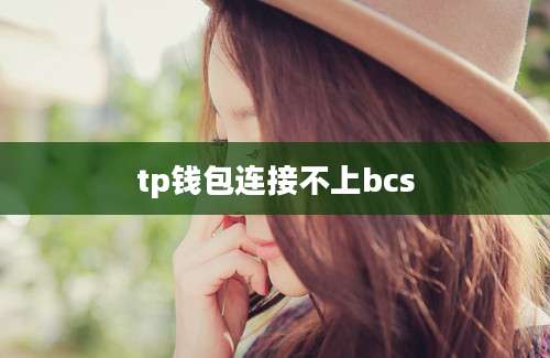 tp钱包连接不上bcs