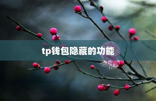 tp钱包隐藏的功能