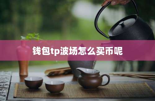钱包tp波场怎么买币呢