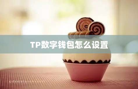 TP数字钱包怎么设置