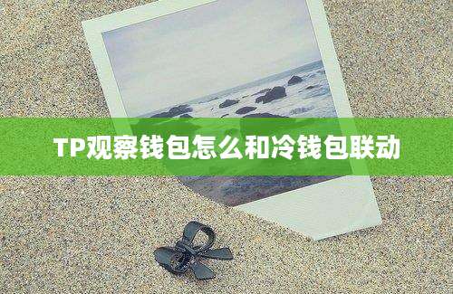 TP观察钱包怎么和冷钱包联动