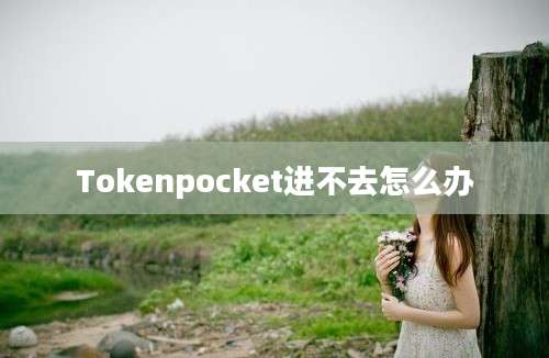 Tokenpocket进不去怎么办