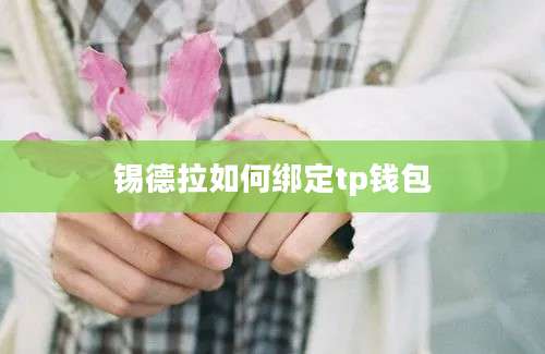 锡德拉如何绑定tp钱包