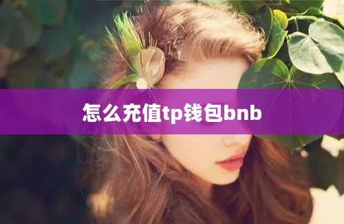 怎么充值tp钱包bnb