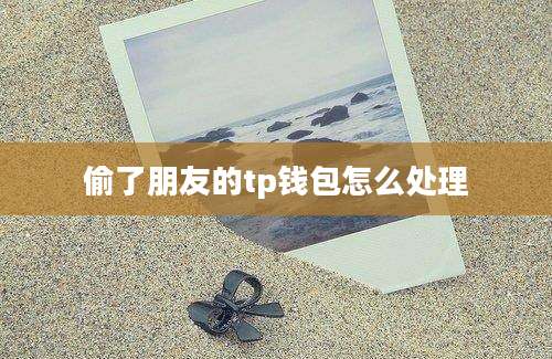 偷了朋友的tp钱包怎么处理