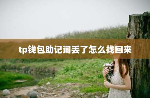 tp钱包助记词丢了怎么找回来