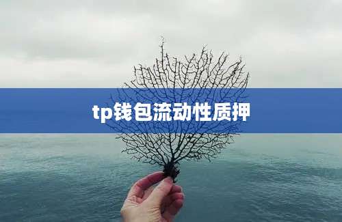 tp钱包流动性质押