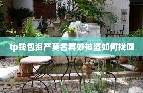 tp钱包资产莫名其妙被盗如何找回