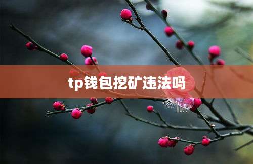 tp钱包挖矿违法吗