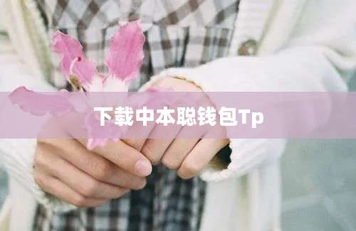 下载中本聪钱包Tp