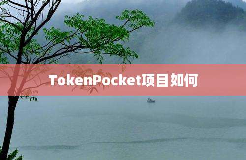 TokenPocket项目如何