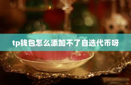 tp钱包怎么添加不了自选代币呀