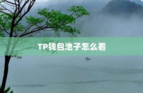 TP钱包池子怎么看