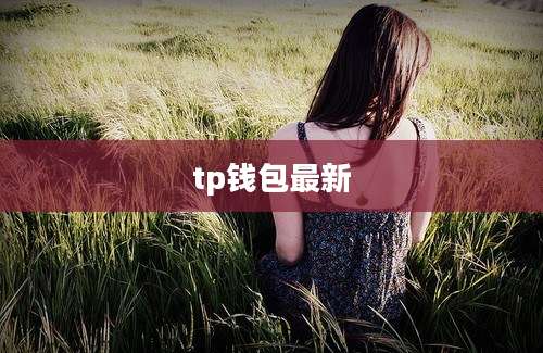 tp钱包最新