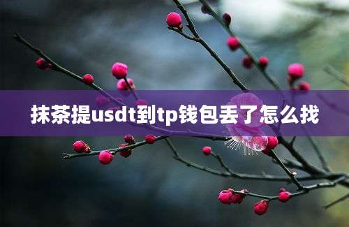 抹茶提usdt到tp钱包丢了怎么找