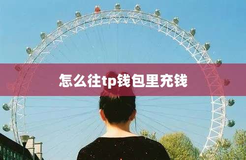 怎么往tp钱包里充钱