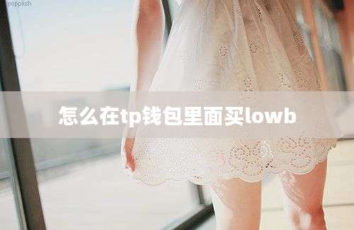 怎么在tp钱包里面买lowb