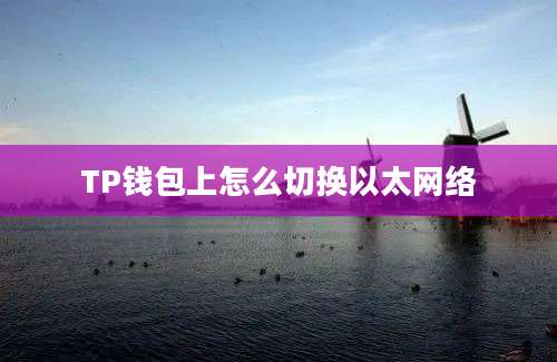 TP钱包上怎么切换以太网络