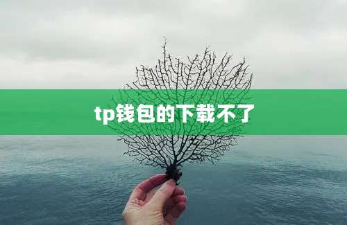 tp钱包的下载不了