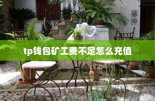 tp钱包矿工费不足怎么充值