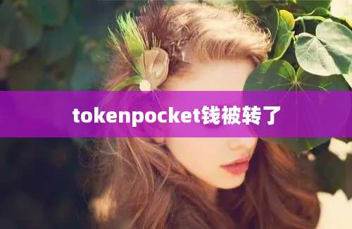 tokenpocket钱被转了